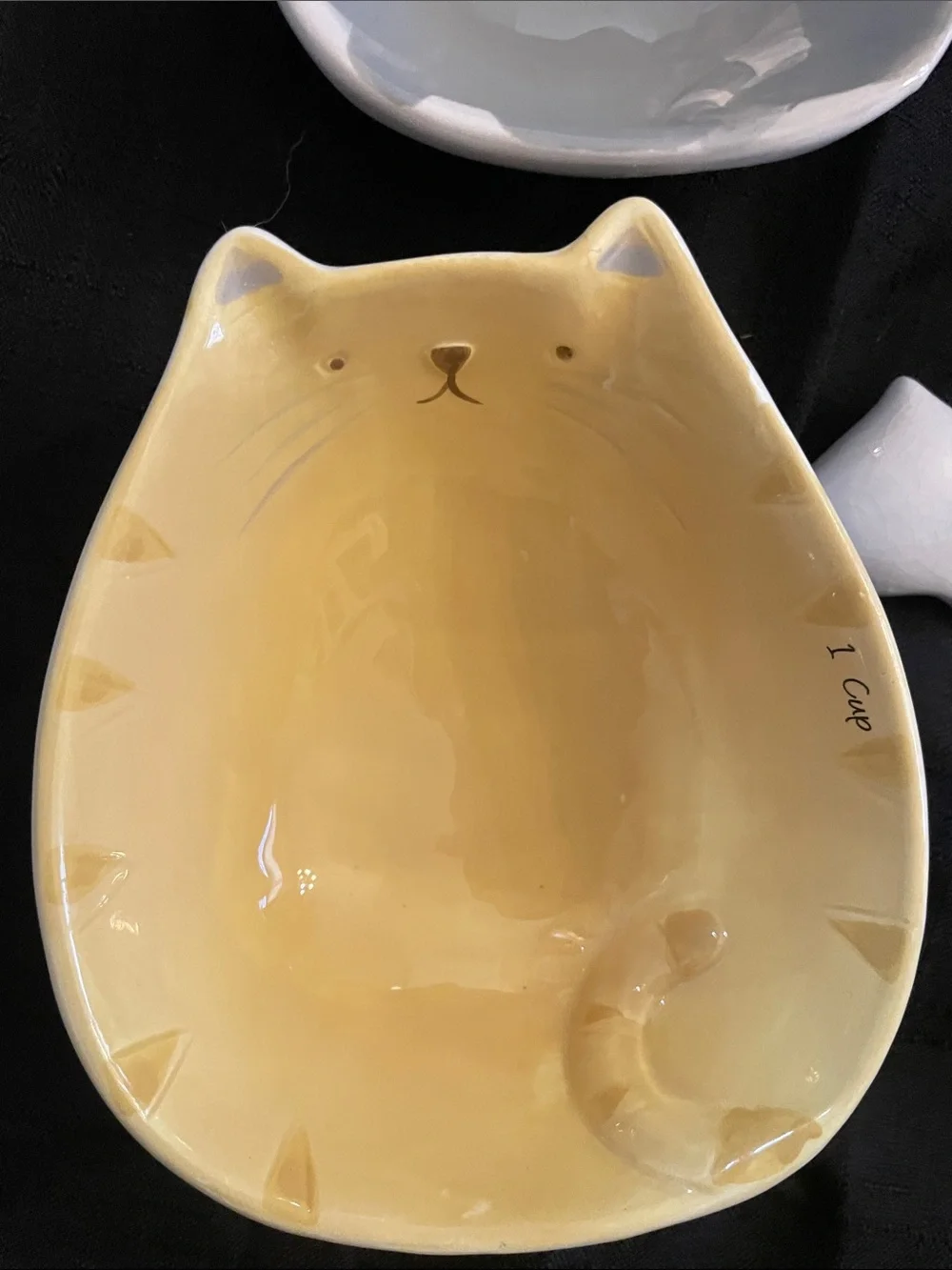 Cost Plus World Market adorable cat